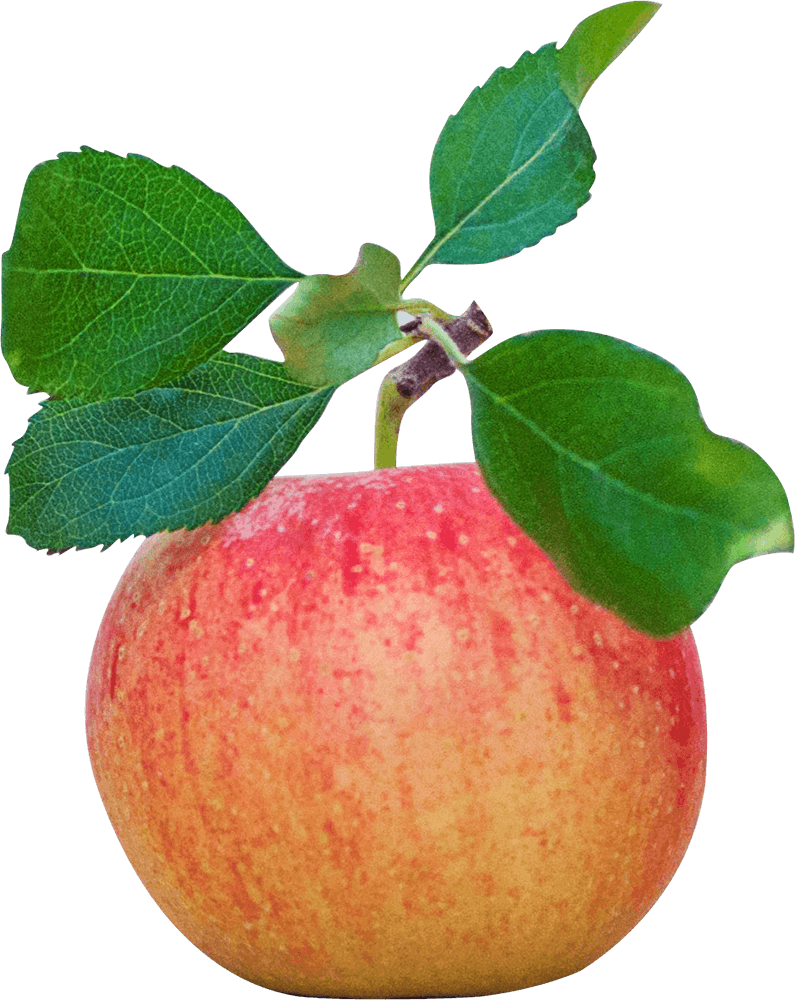 Apple With Leaf PNG Image