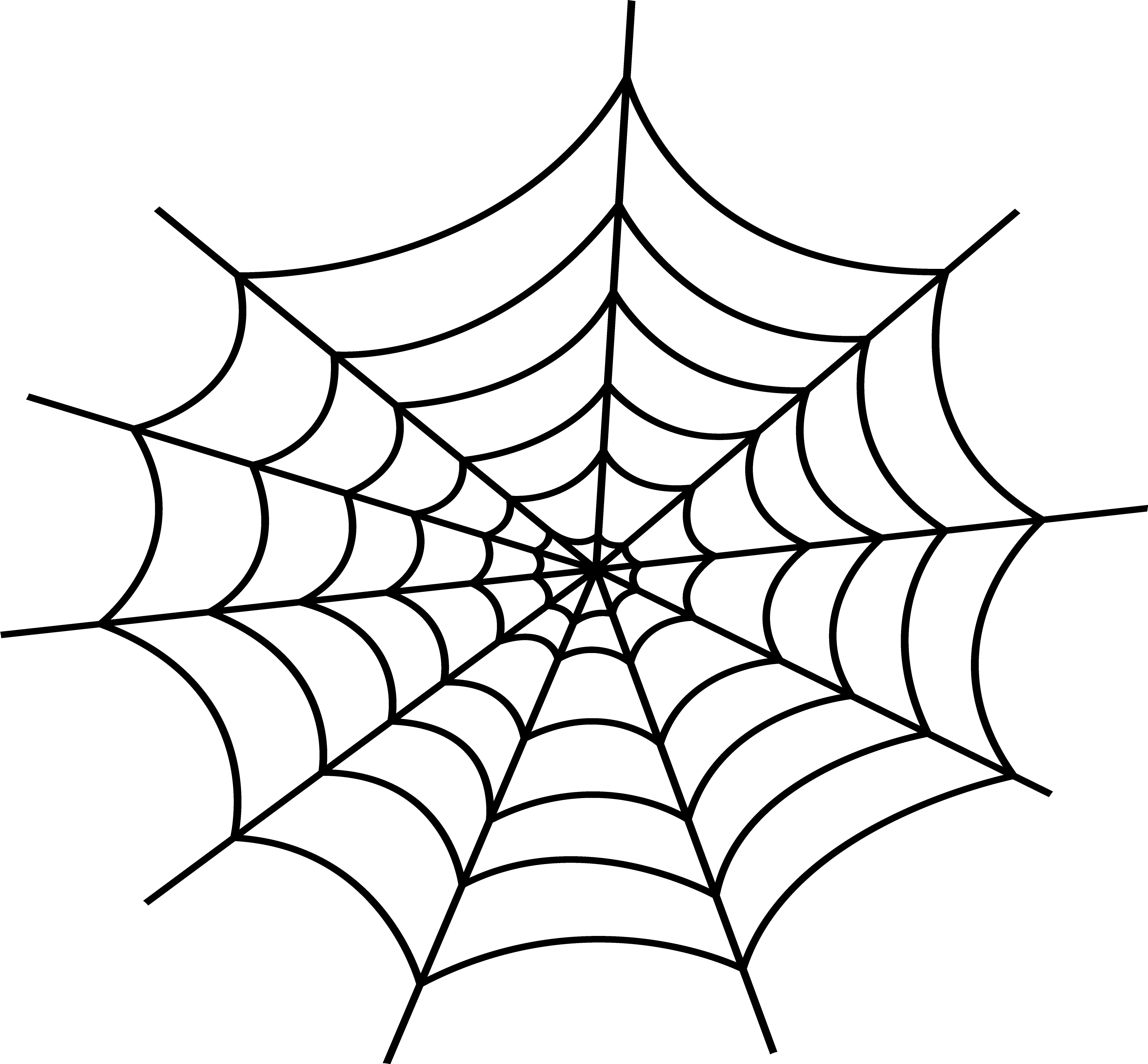 Spider Web Transparent Background