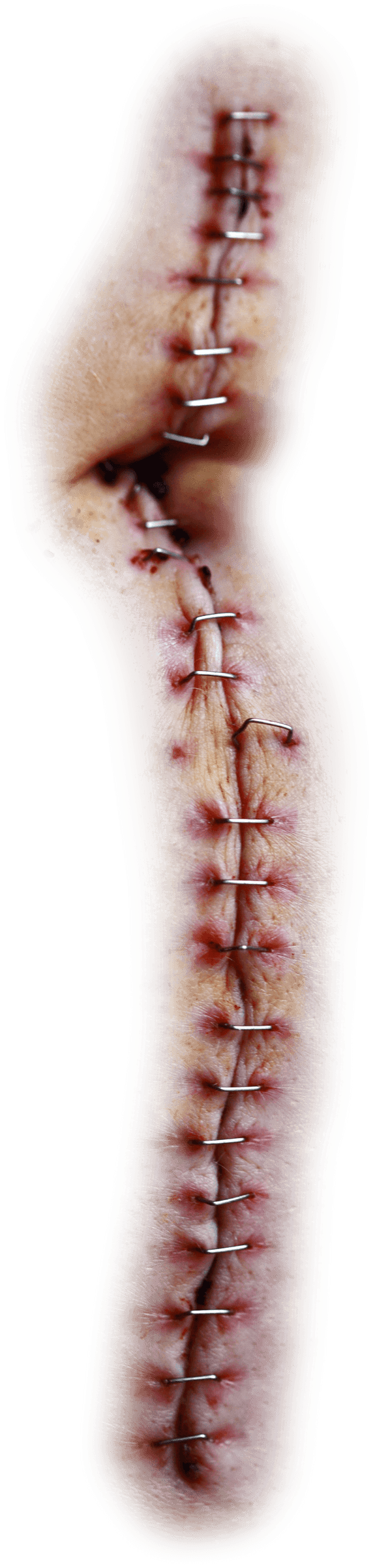 Stitches Transparent PNG