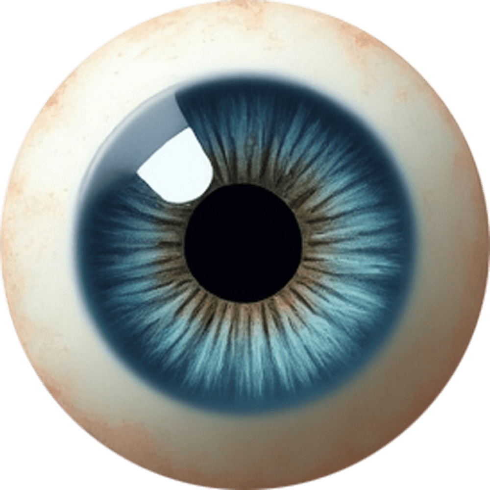 Eyeball PNG Transparent