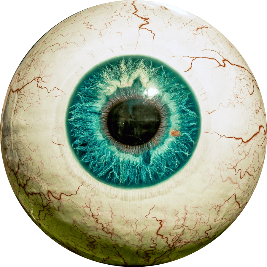 Eyeball PNG
