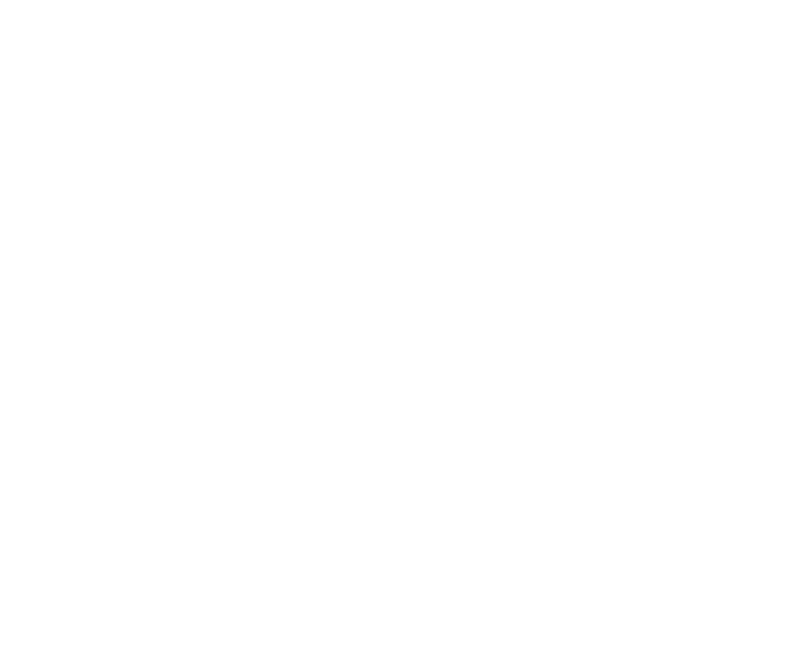 Robi Logo White PNG