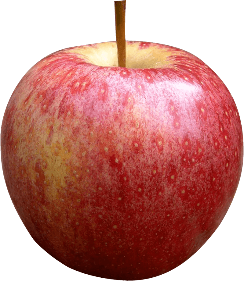 Apple PNG Image