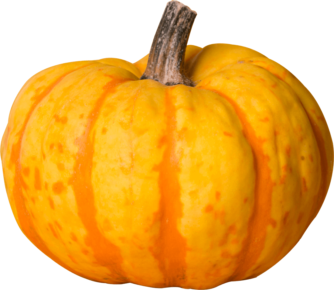 Pumpkin PNG Transparent Image Pumpkin PNG Transparent Image