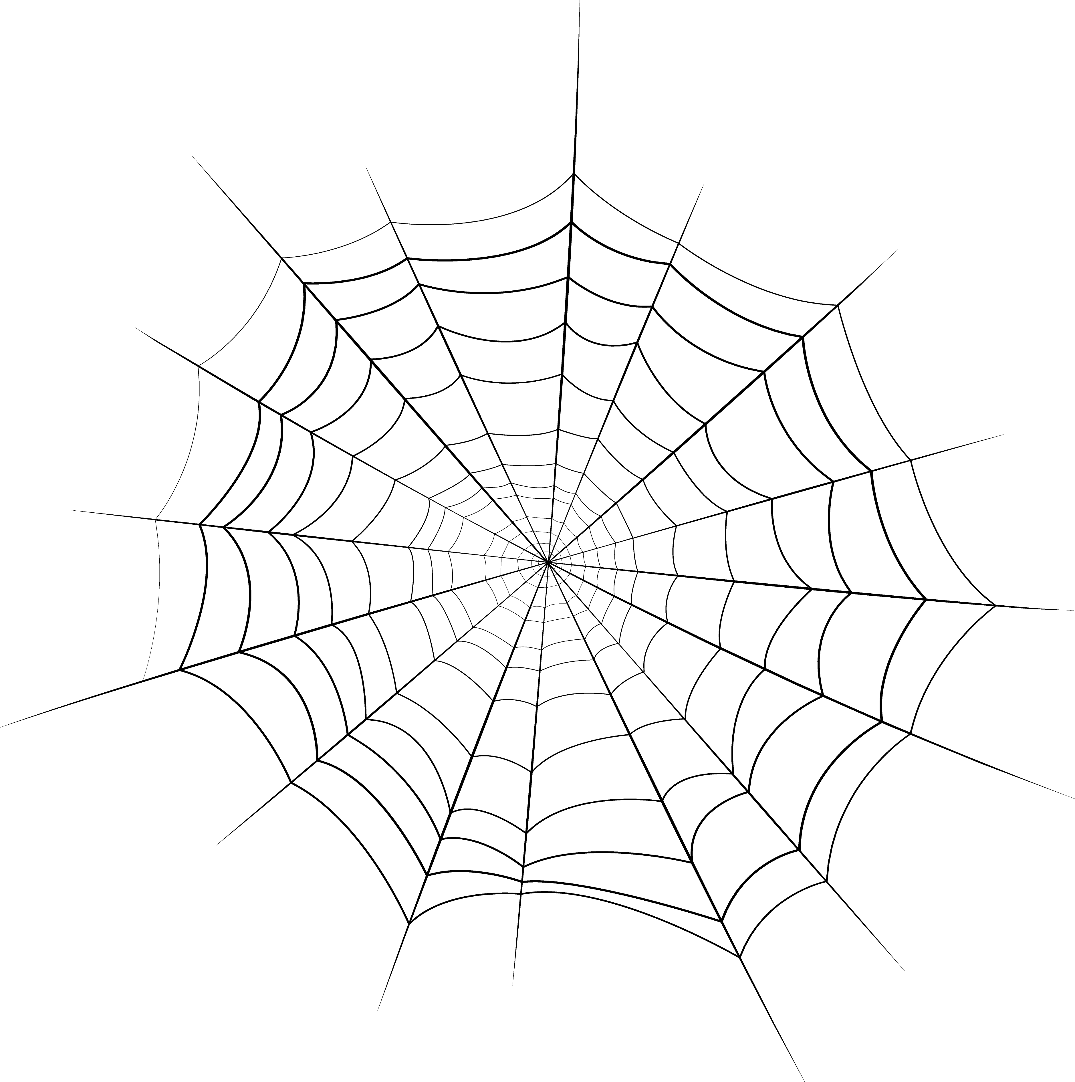Spider Web Image PNG Spider Web Image PNG