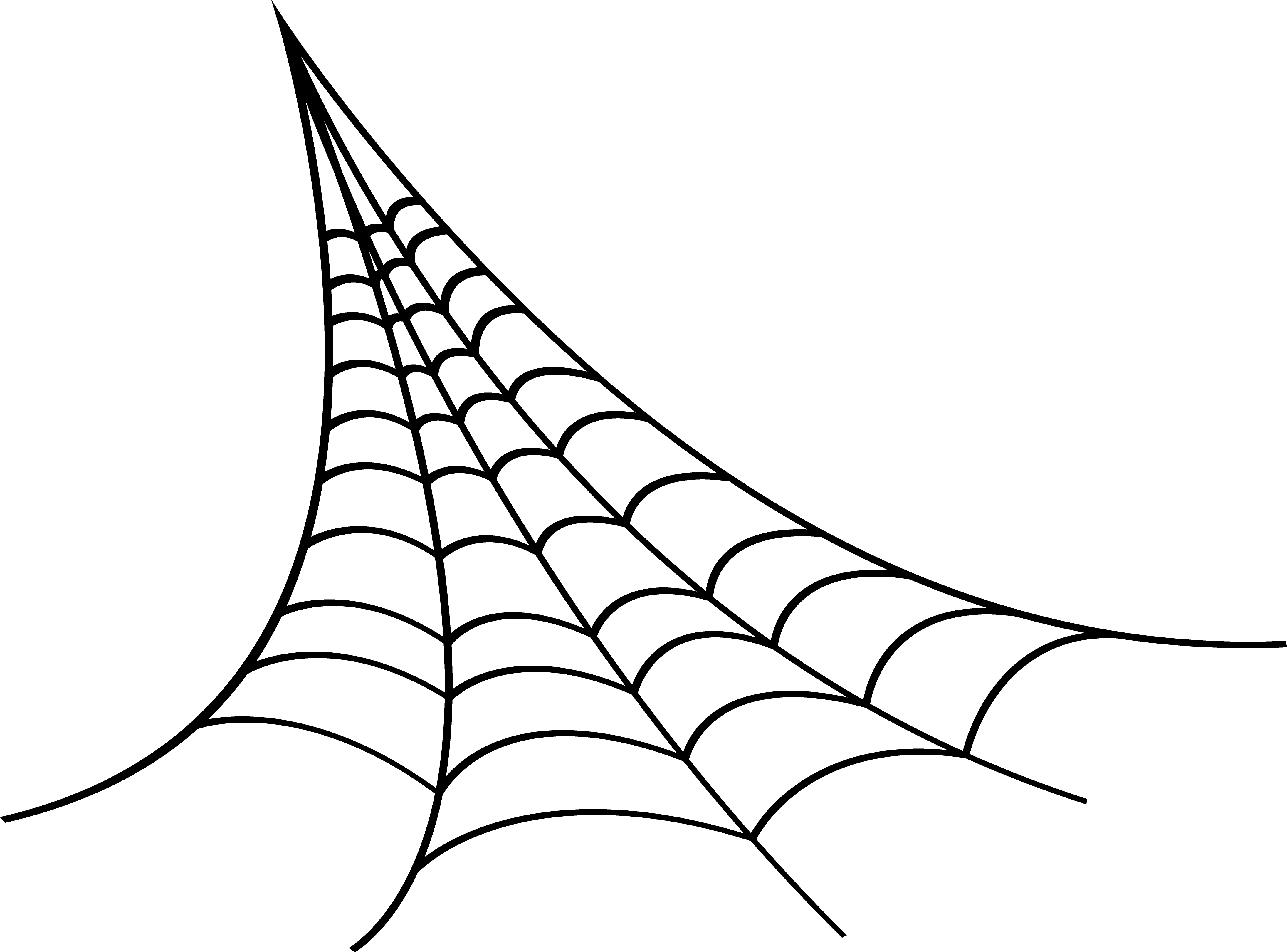 Spider Web PNG Image Spider Web PNG Image