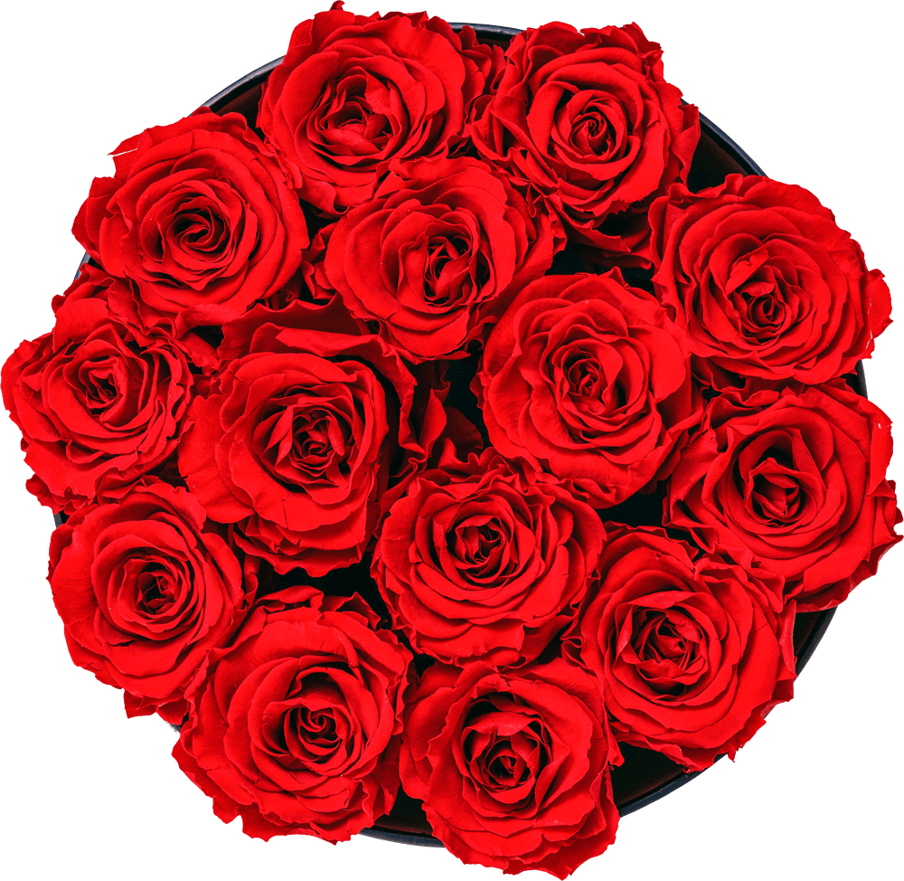 Reses PNG Image Reses PNG Image