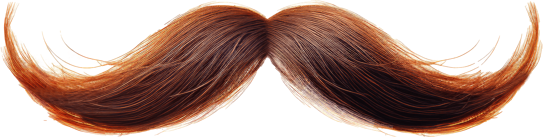 Mustache Transparent PNG