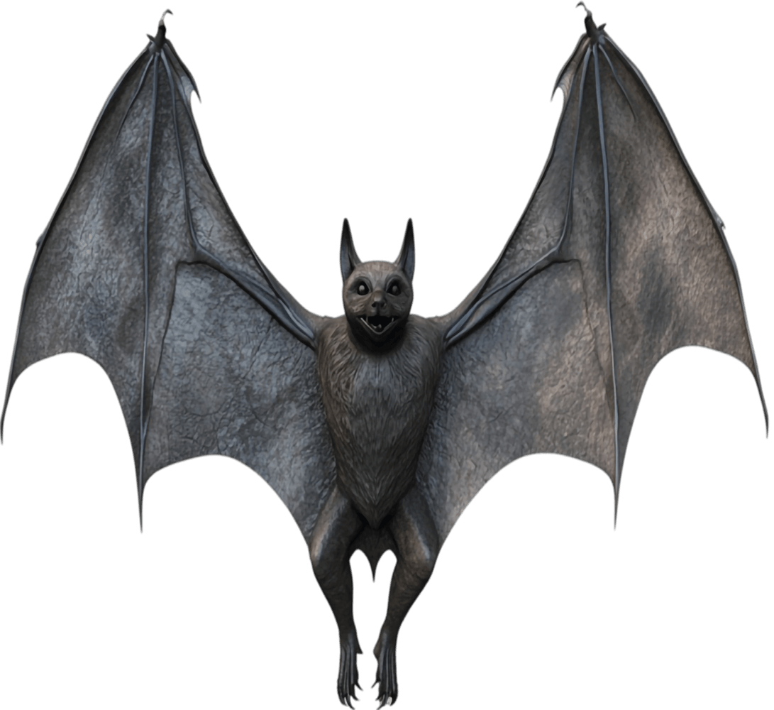Bat PNG