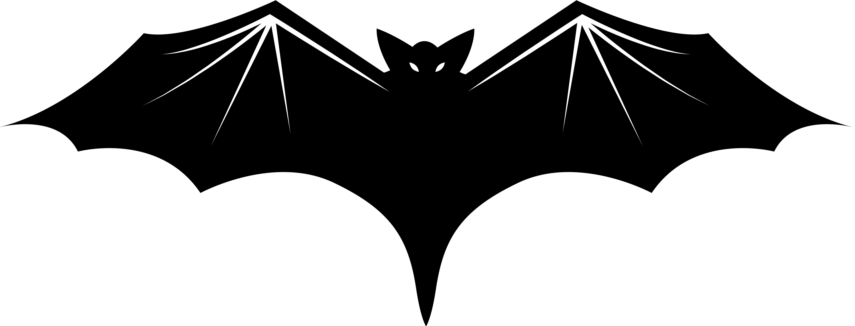 Black Bat PNG