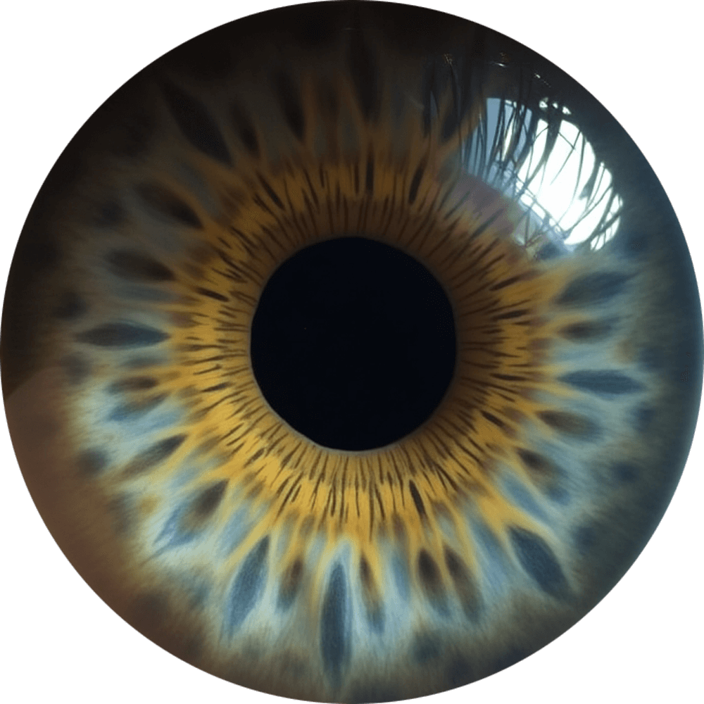 Eyeball Transparent PNG Eyeball Transparent PNG