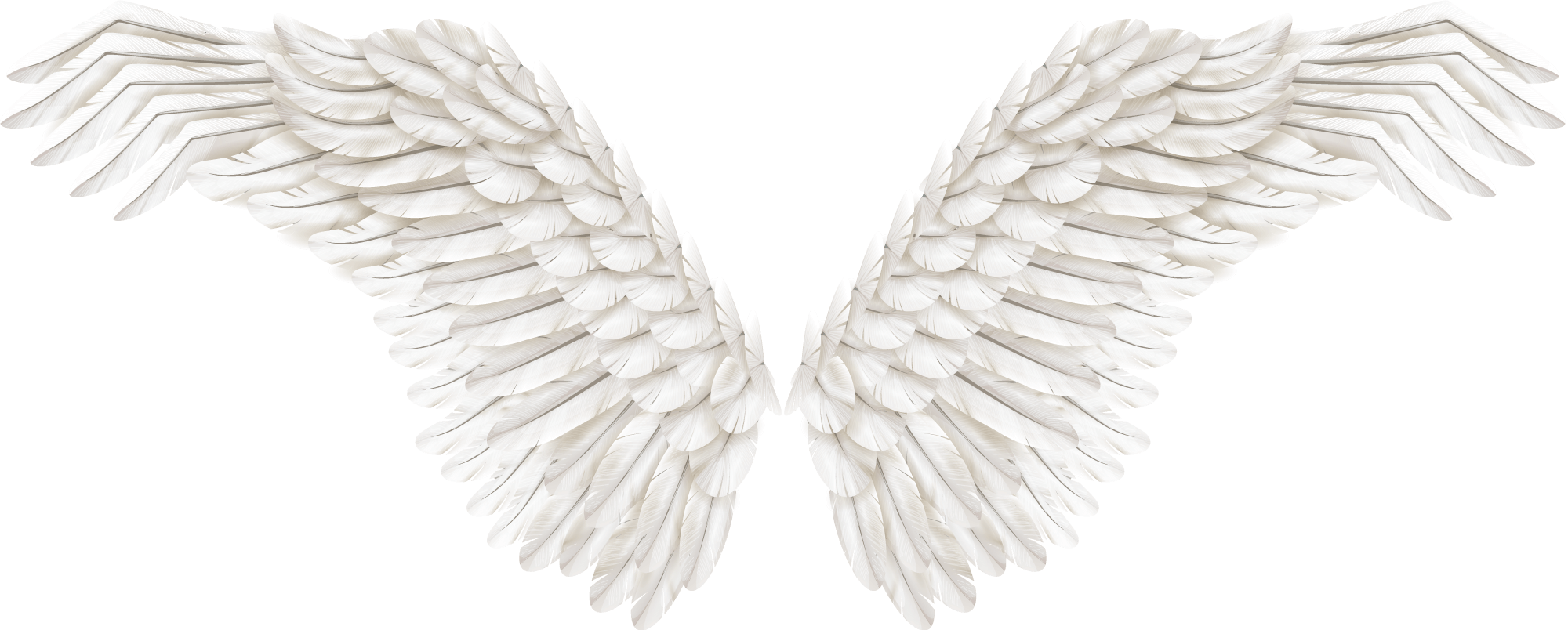 Angel Wings Transparent PNG