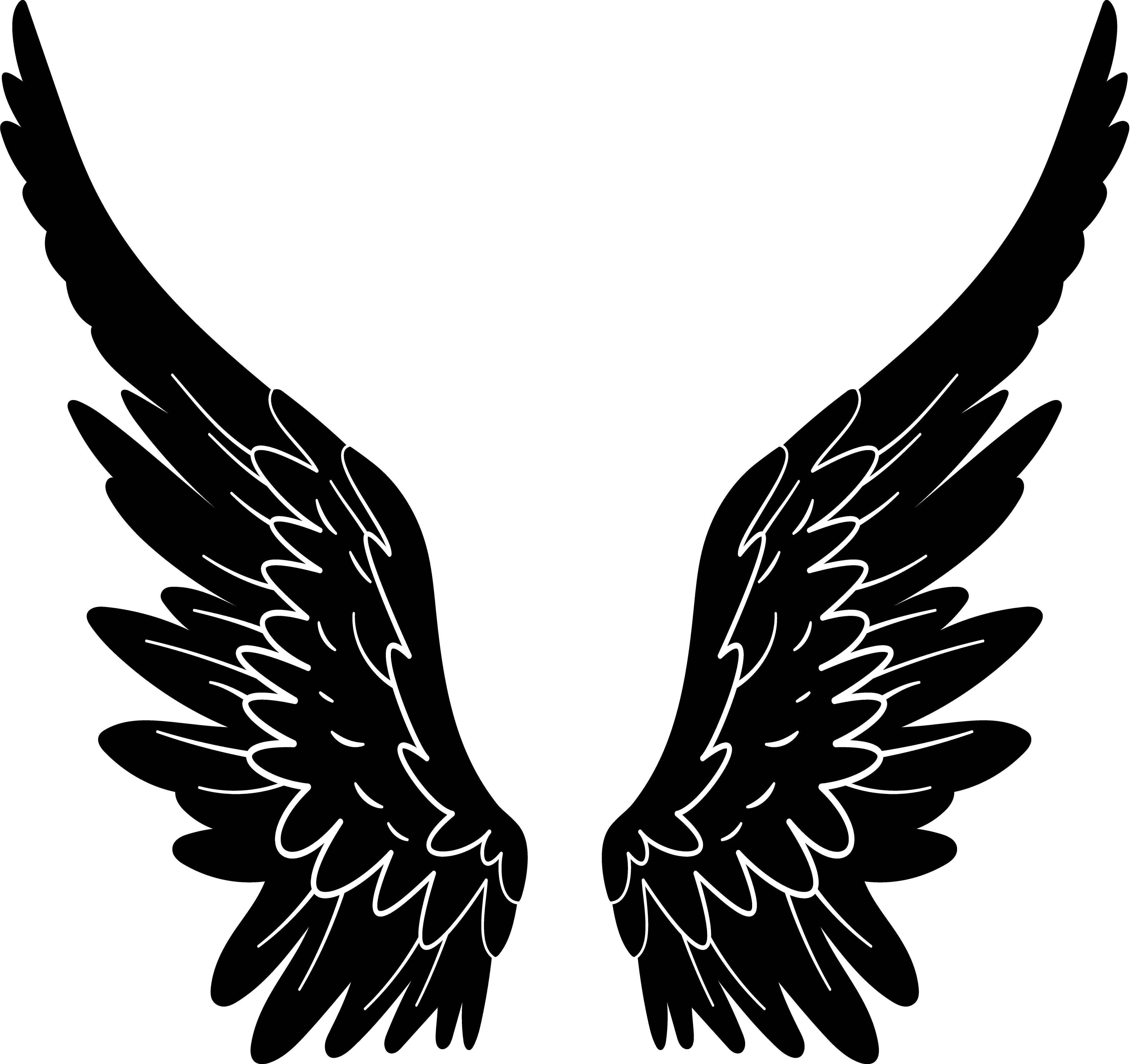 Black Angel Wings PNG