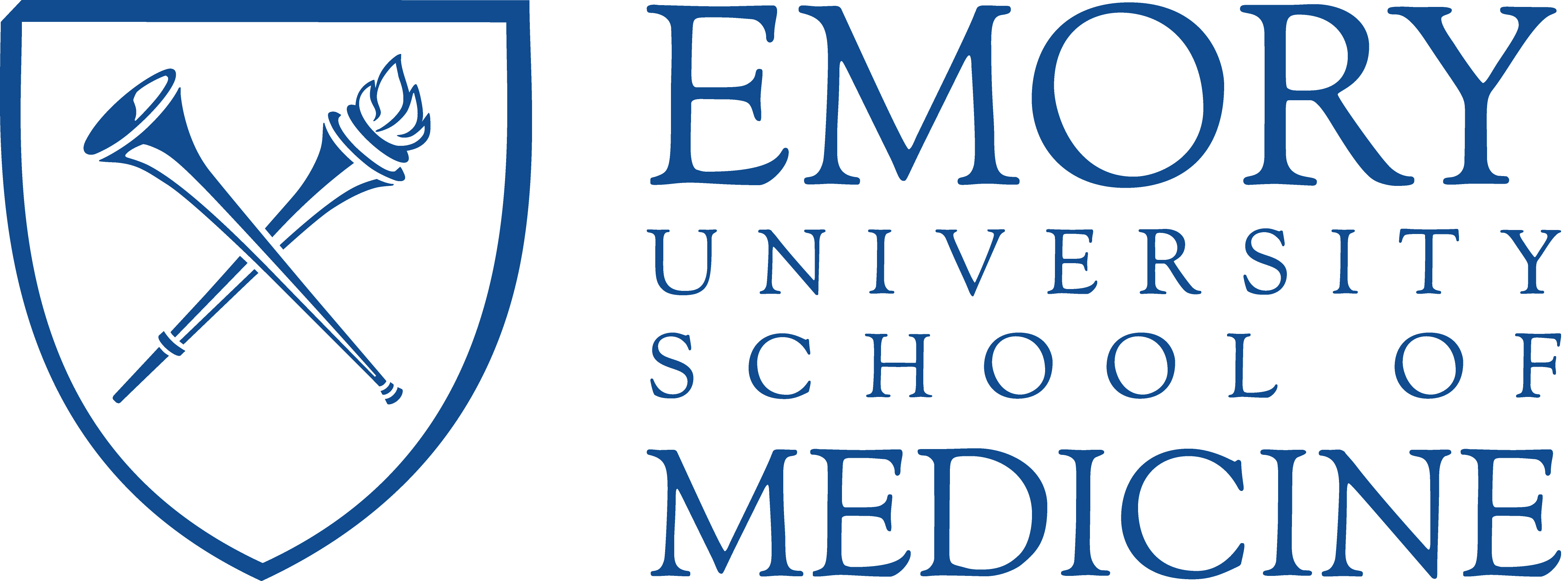 Emory University Hospital Transparent Logo