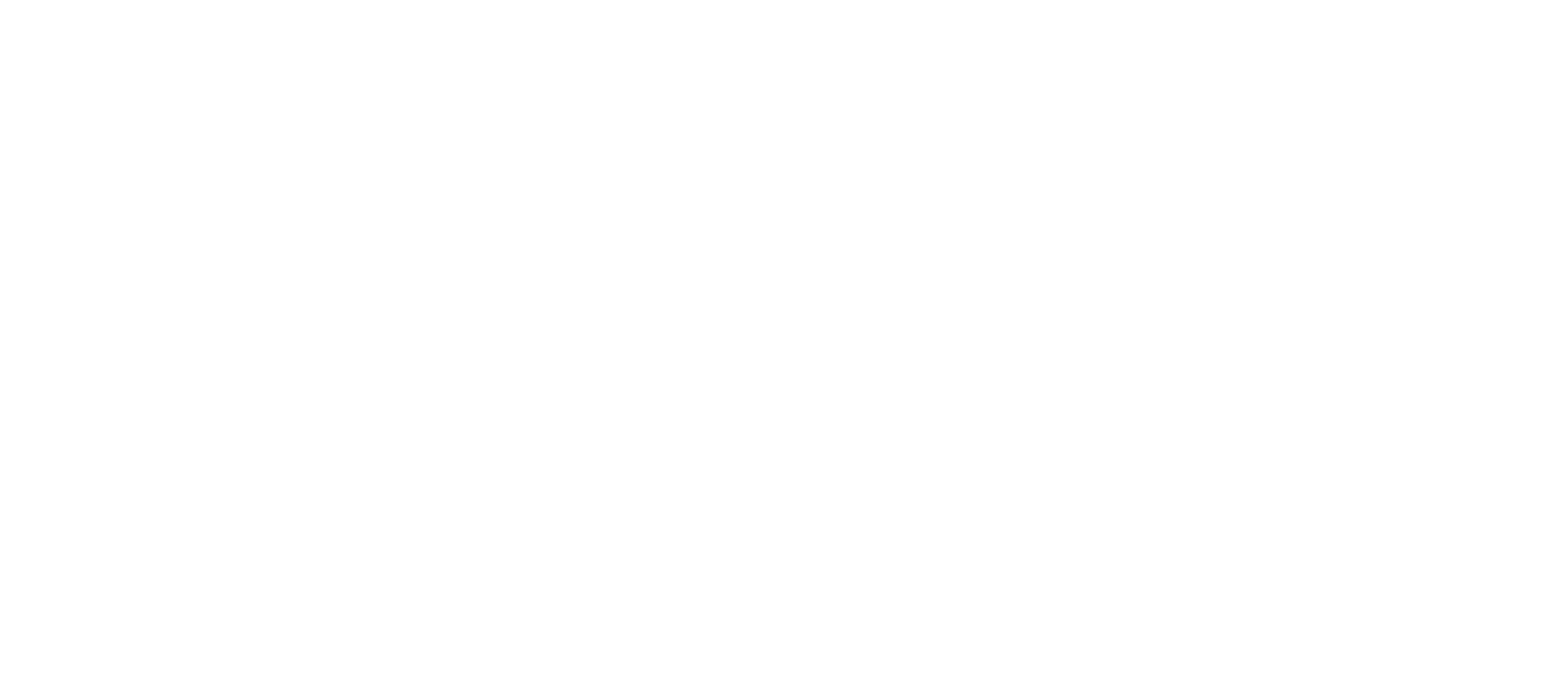 Bkash Logo Bangla White Transparent PNG