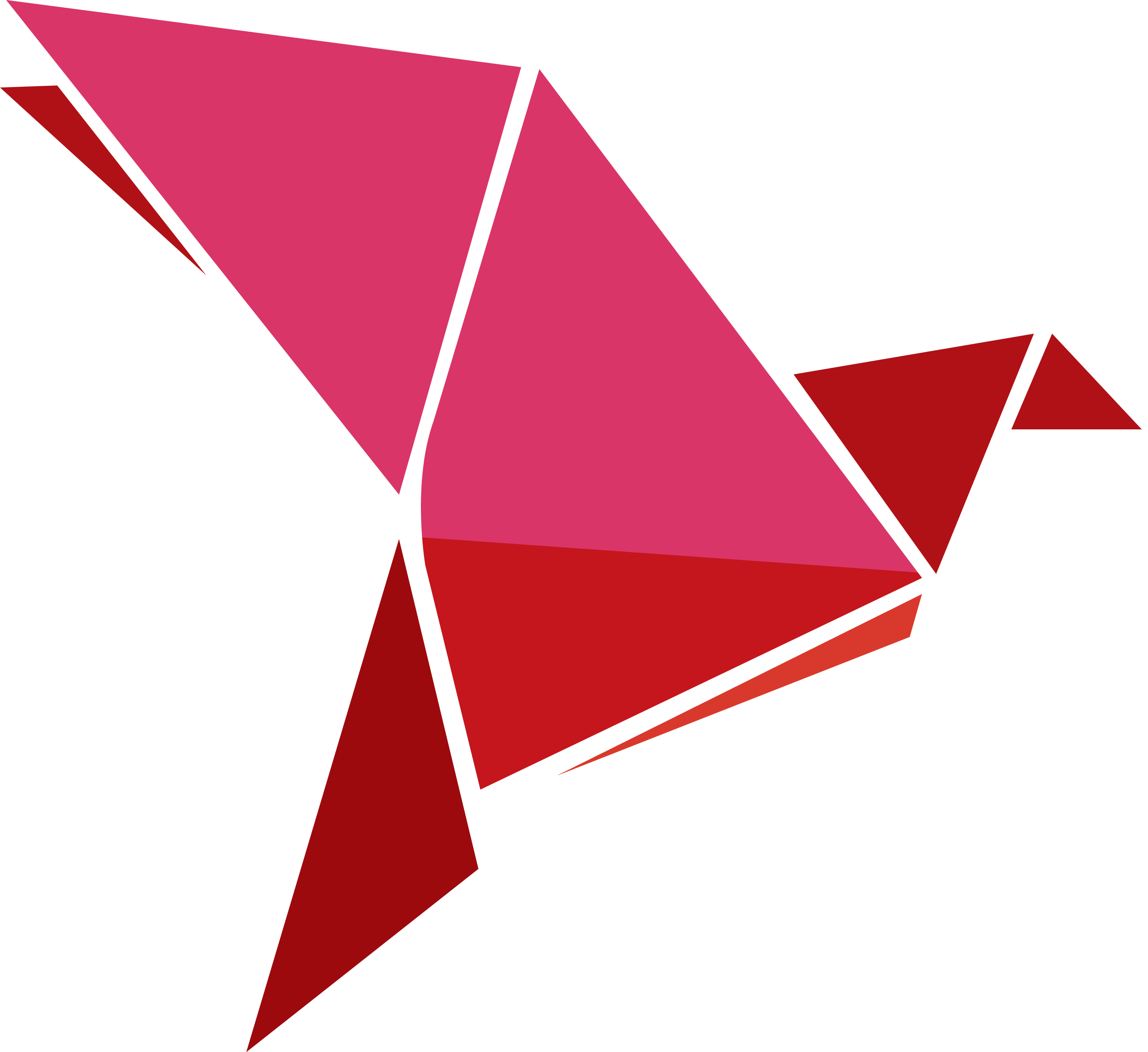 Bkash Logo Icon PNG