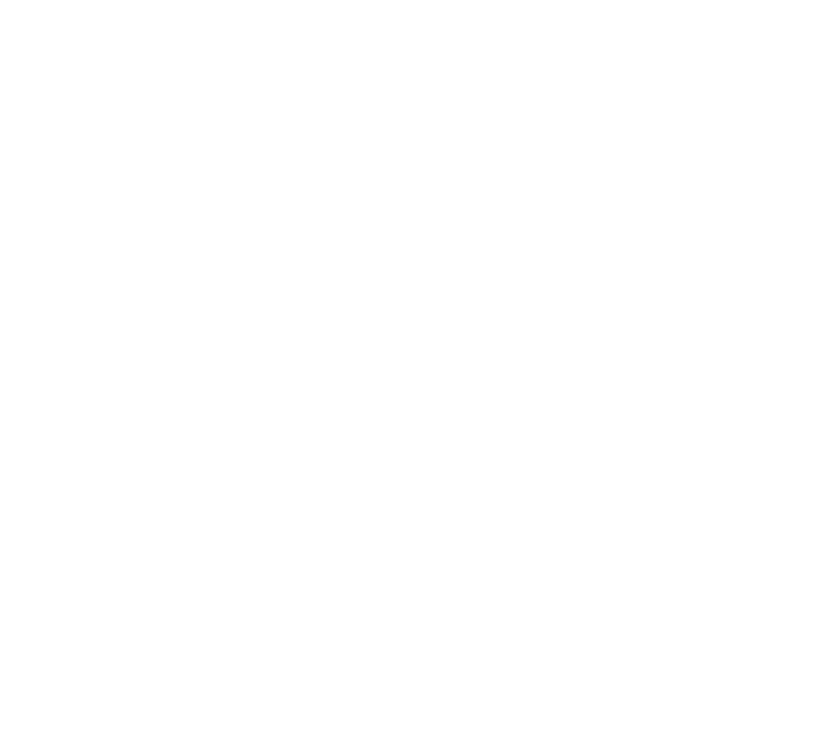Bkash Logo Icon White PNG