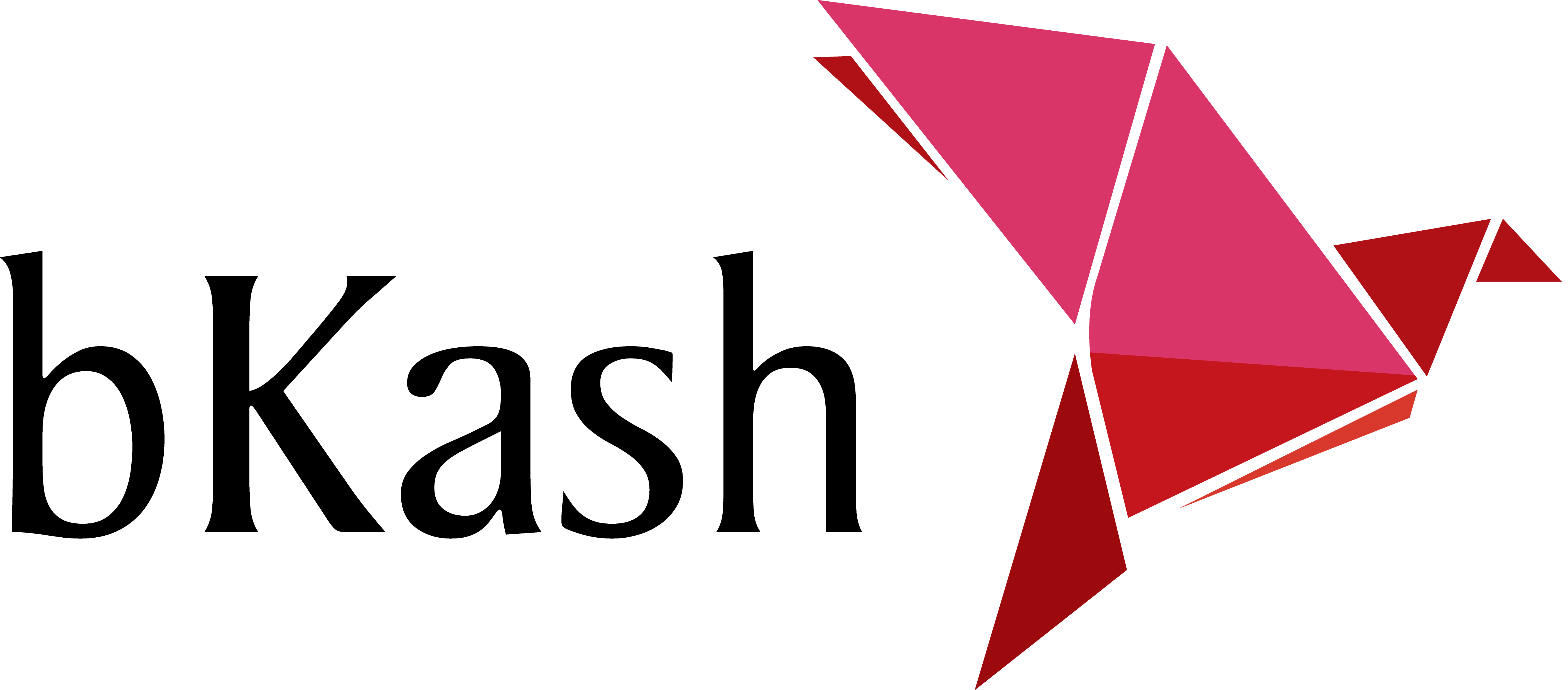 Bkash Logo PNG