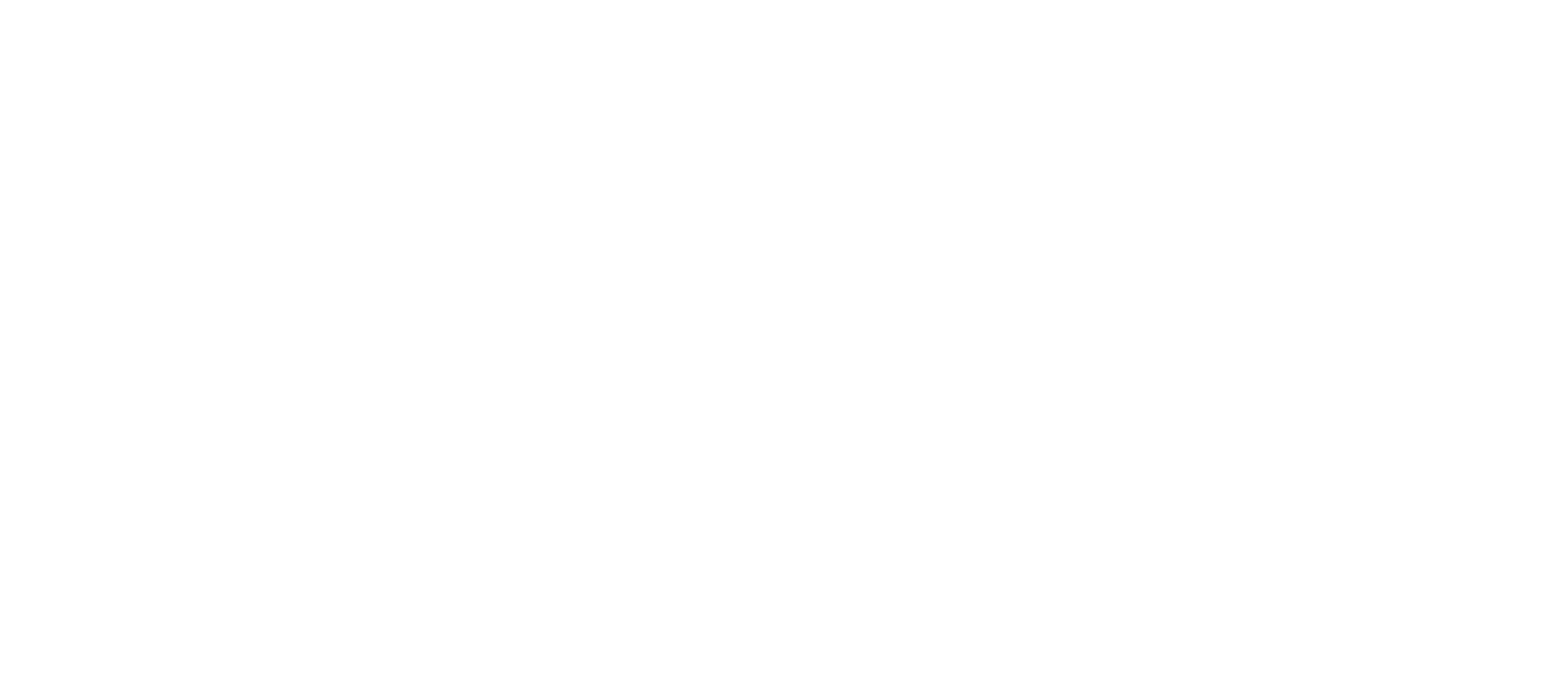 Bkash Logo White Transparent PNG