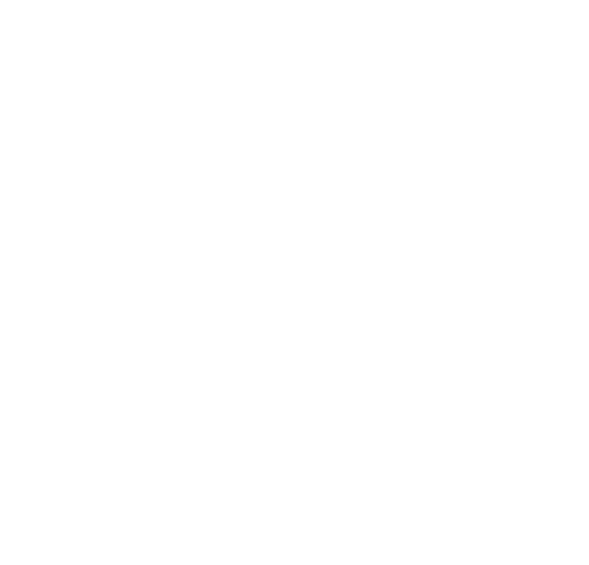Nagad Logo Icon White PNG Nagad Logo Icon White PNG