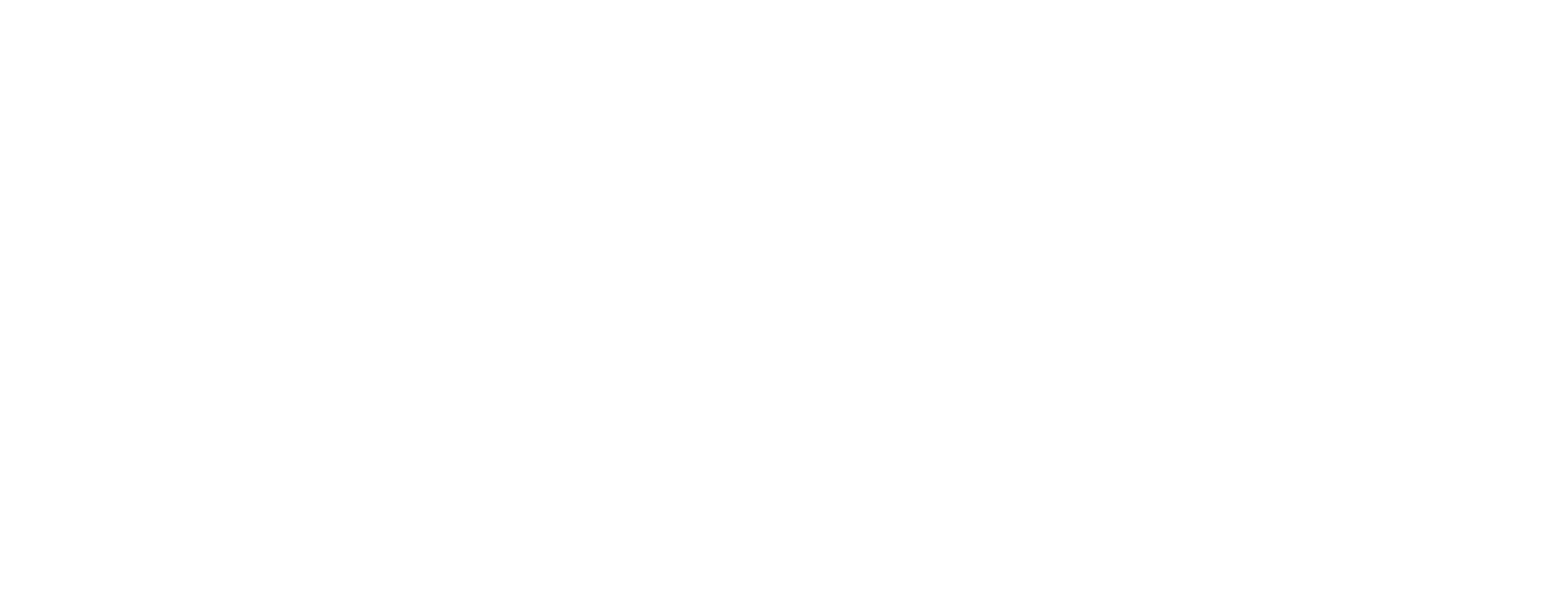 Nagad Logo White PNG Nagad Logo White PNG