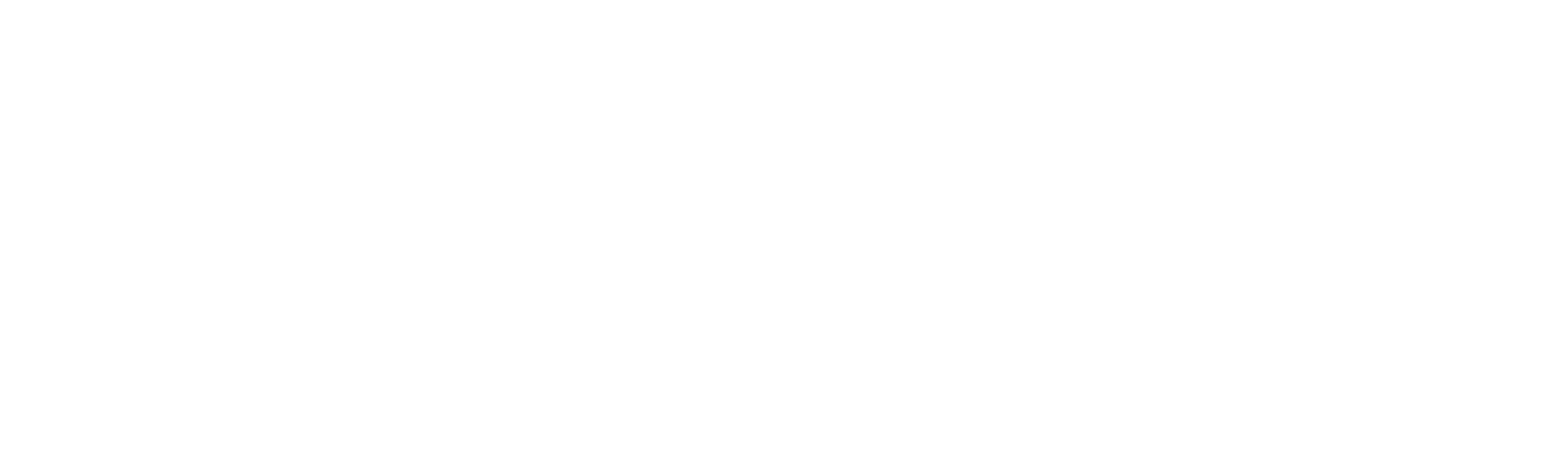 ChatGPT White Transparent Logo