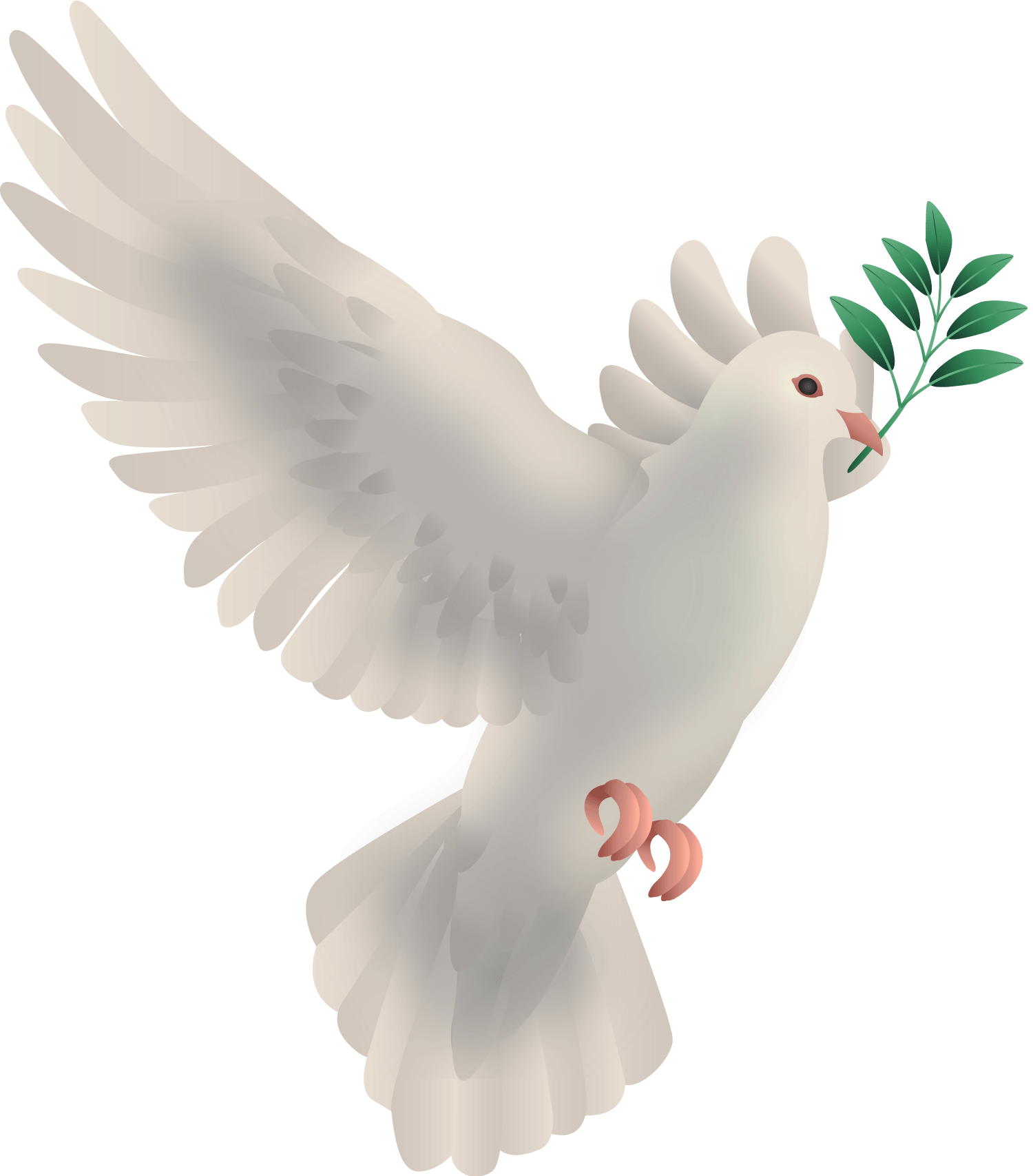 Doves Image PNG