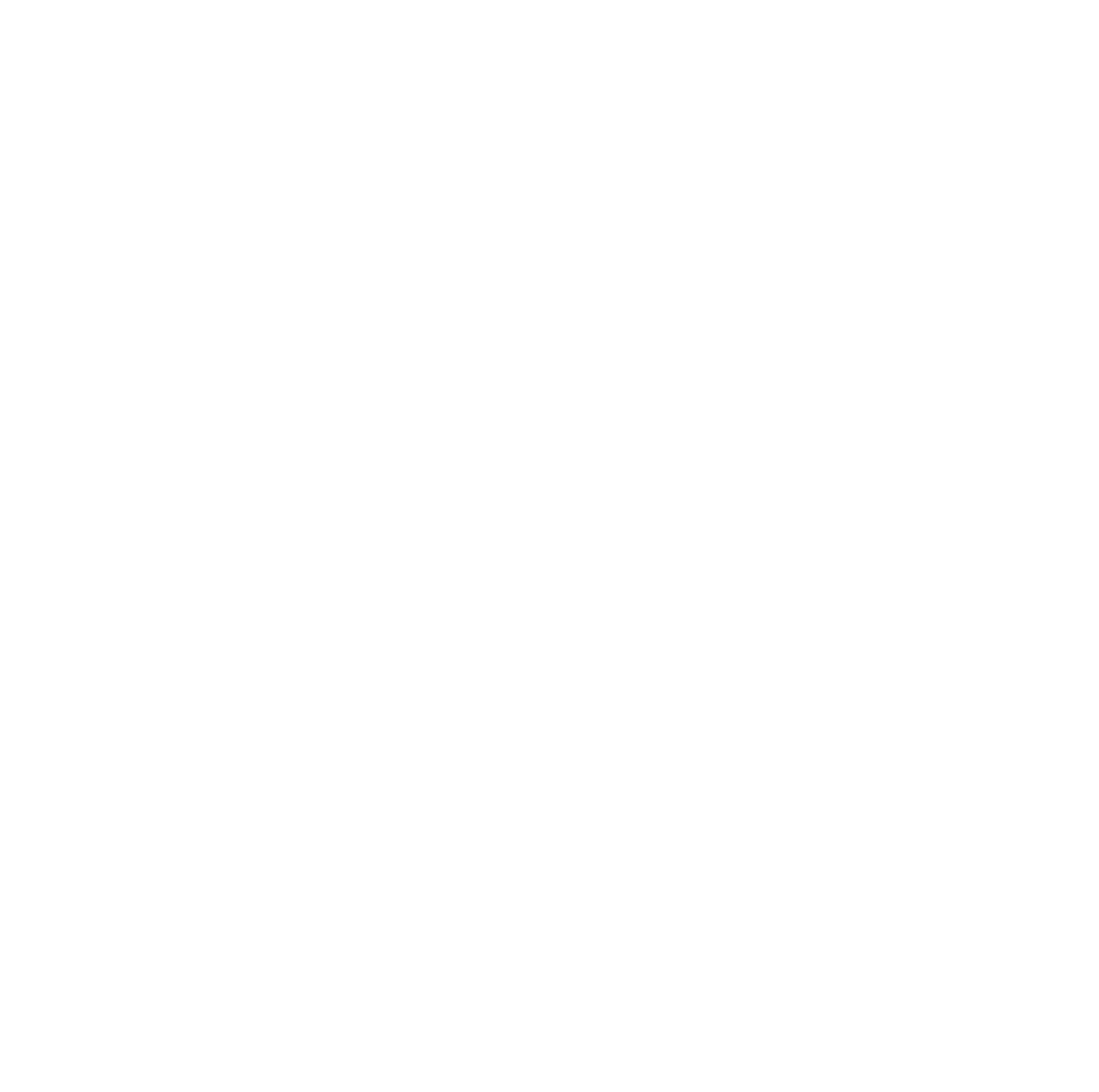 BMW White Logo PNG