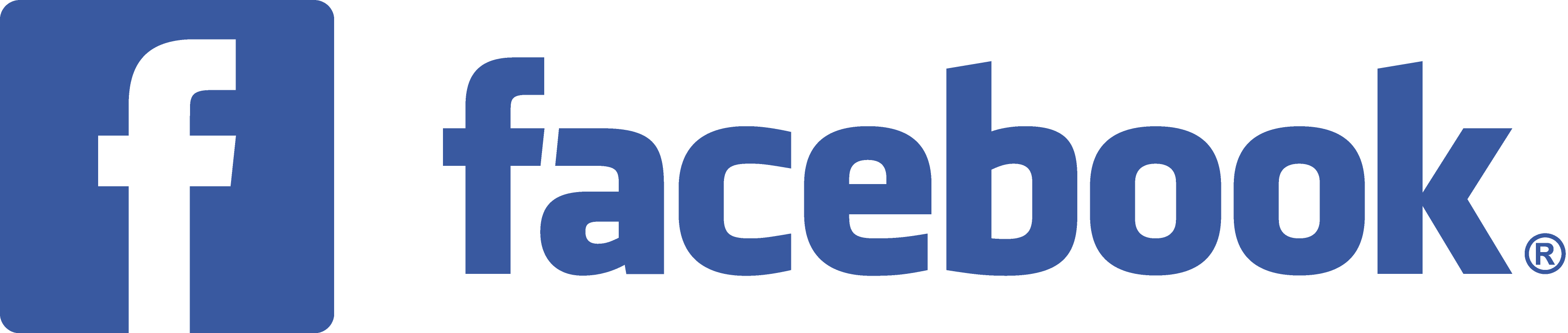 Facebook Logo with Icon