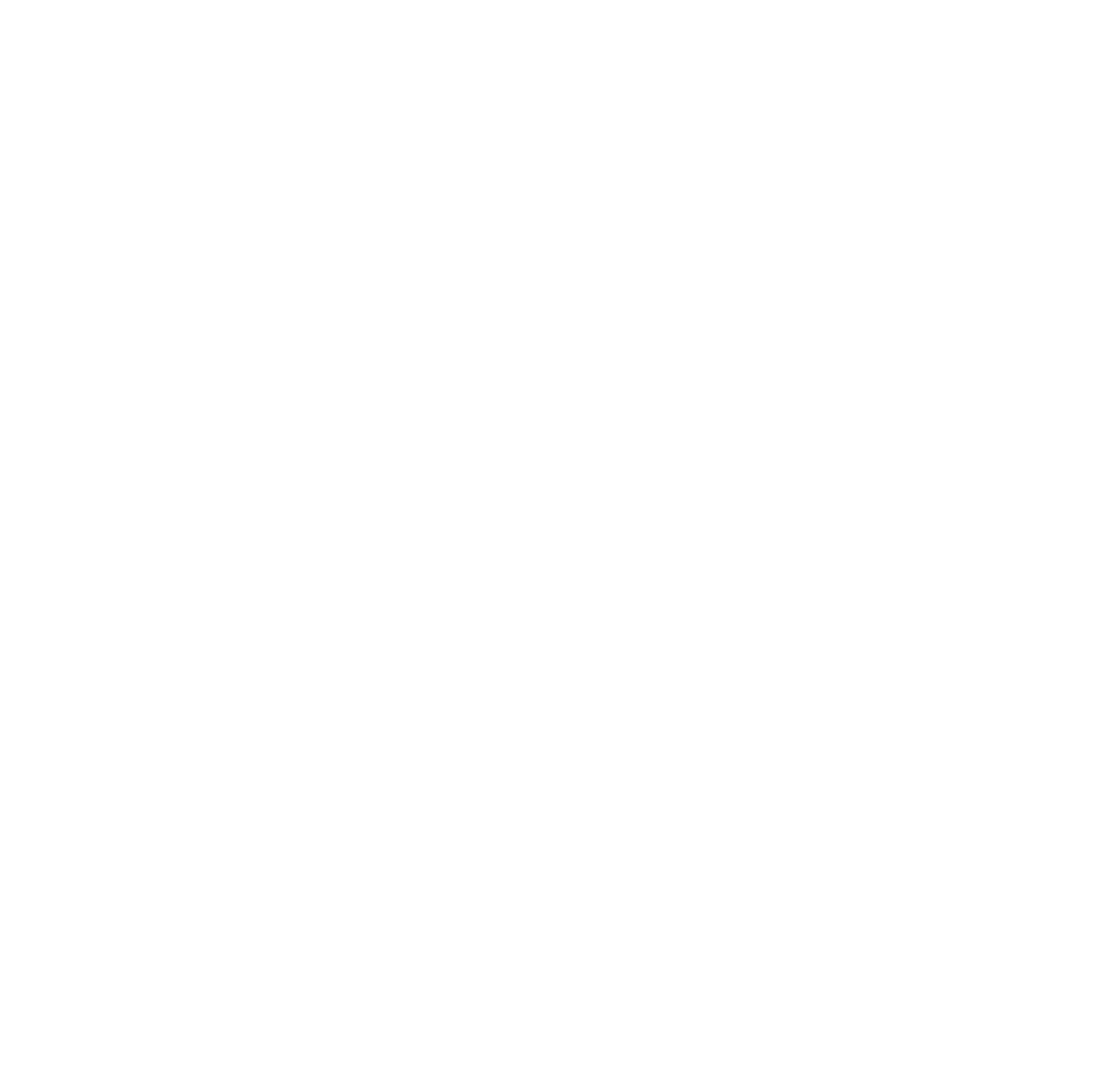 Facebook Logo White PNG
