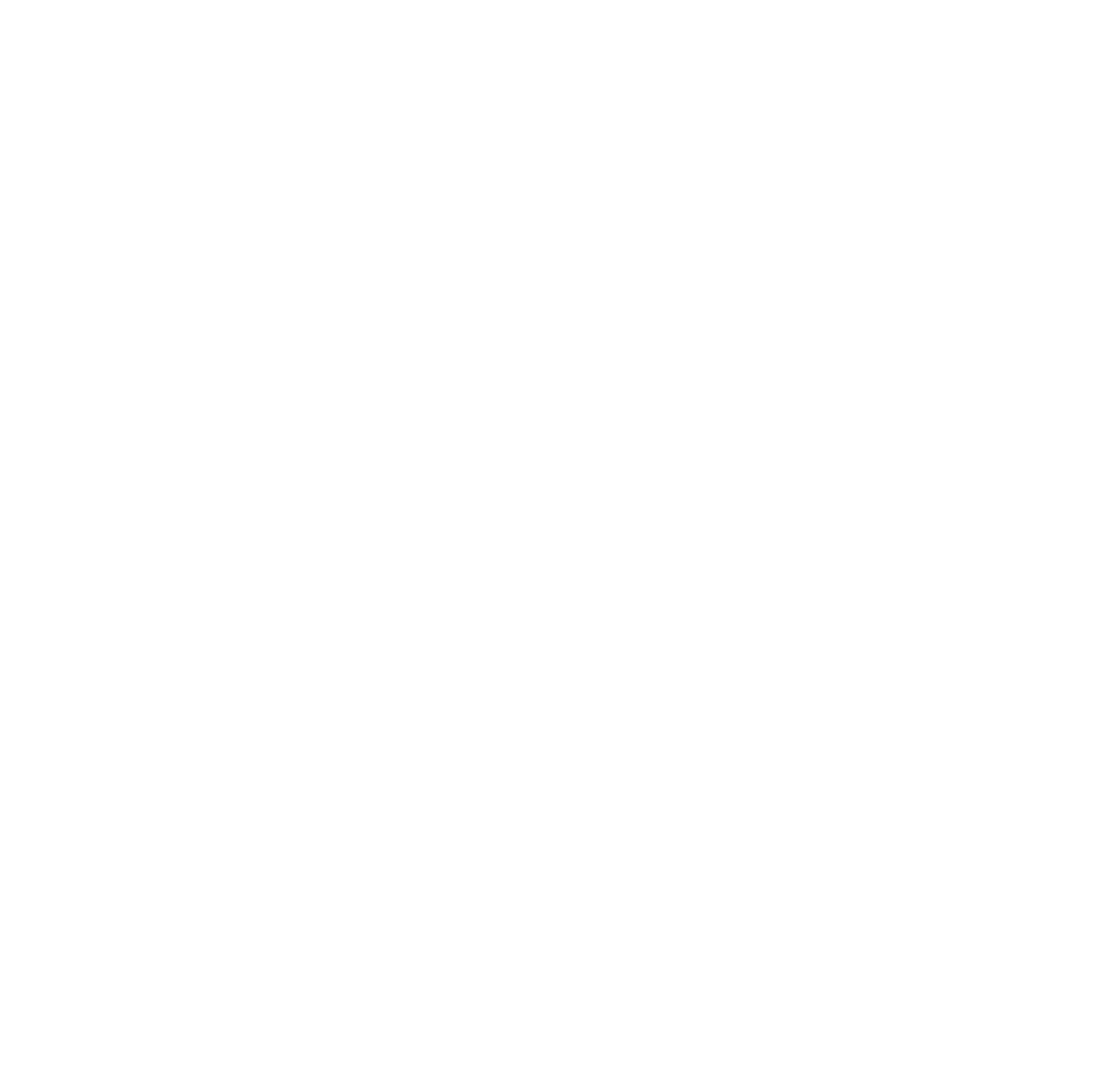 Instagram Logo White PNG