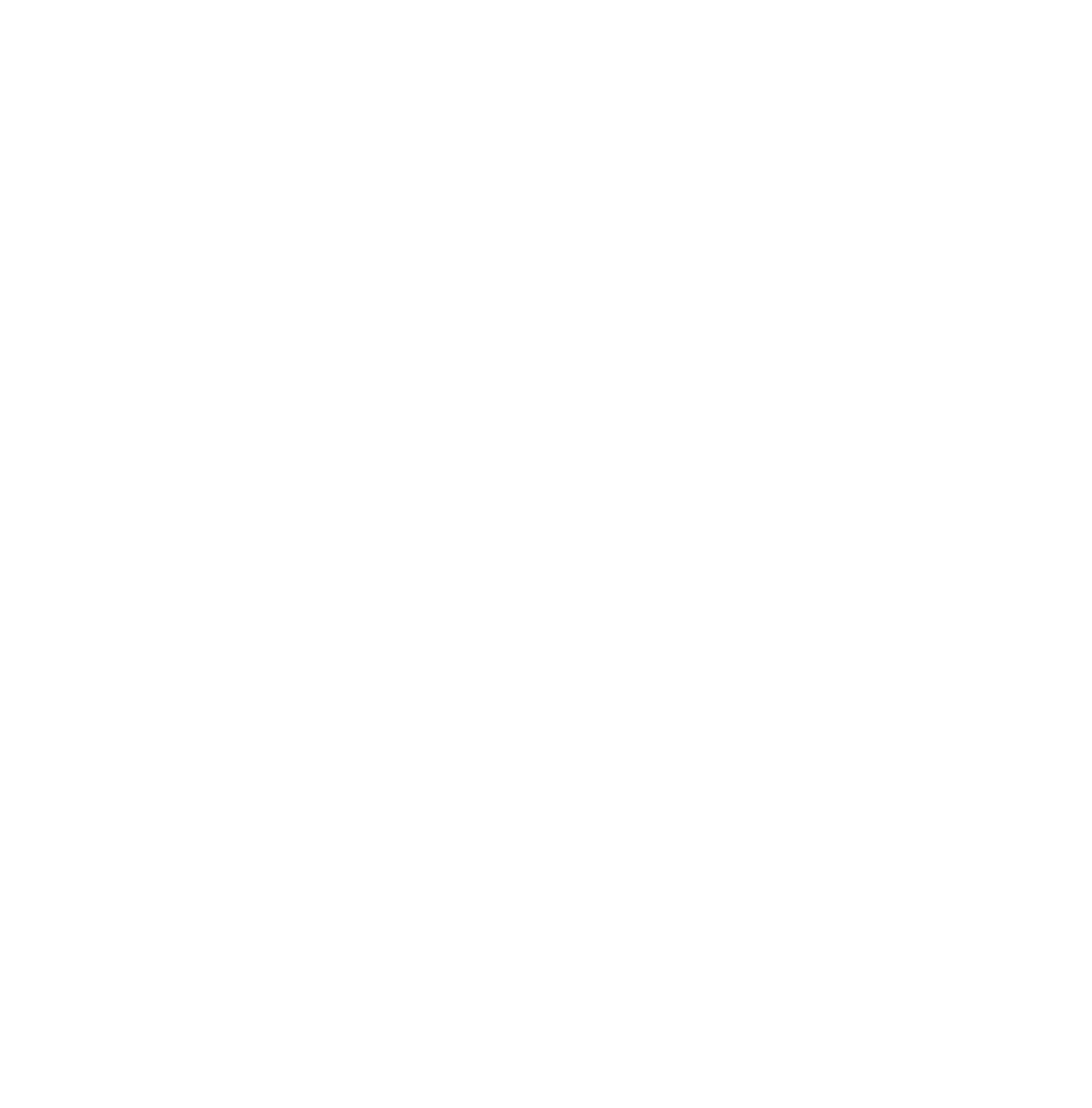 White Instagram Logo PNG